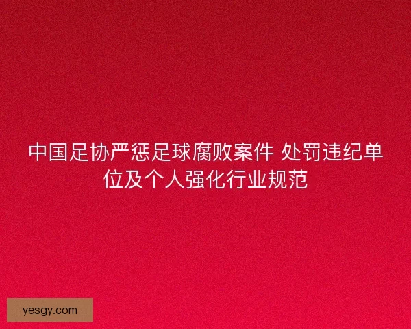 中国足协严惩足球腐败案件 处罚违纪单位及个人强化行业规范